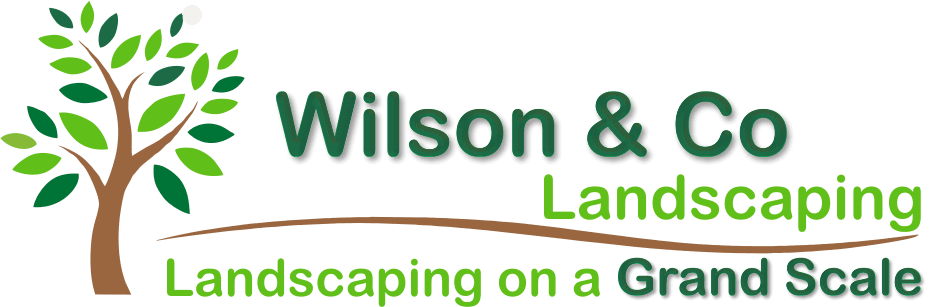 Wilson & Co Landscaping